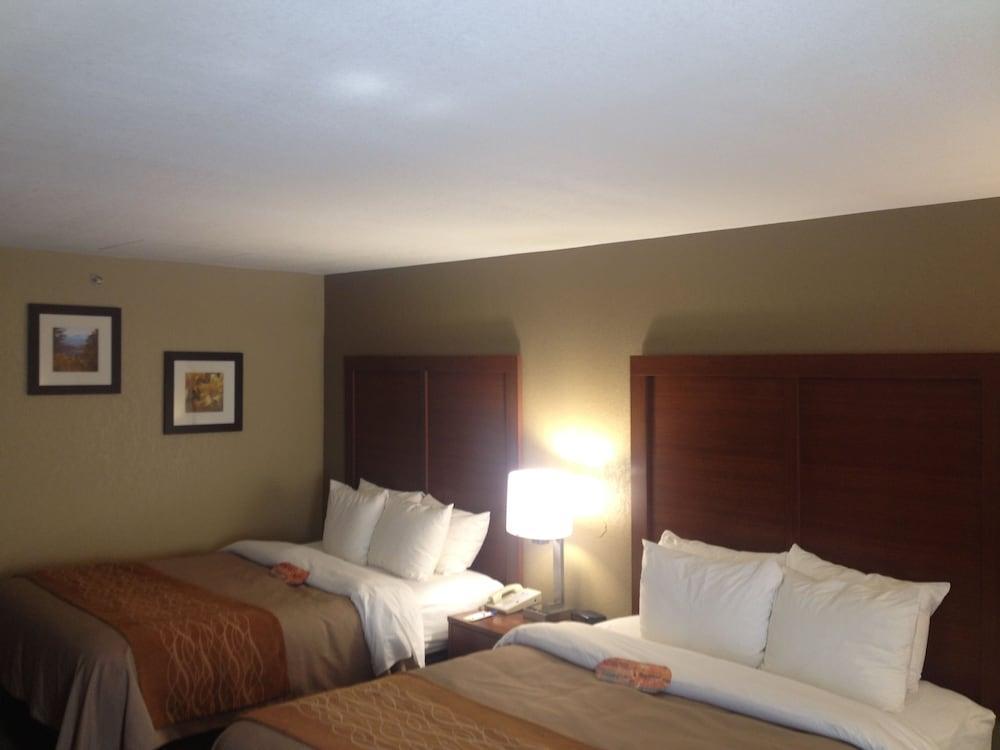 Comfort Inn Biltmore West Asheville Exteriér fotografie